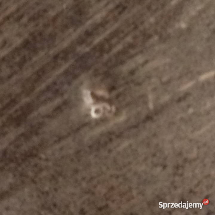 Bola do ponczu Pozostałe