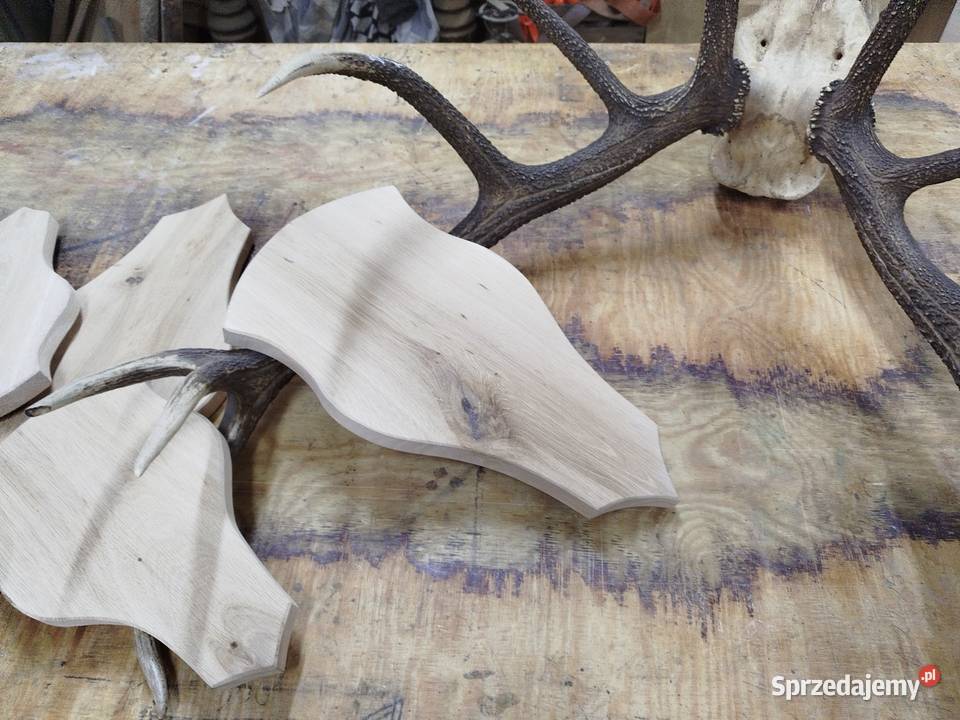 Deska na poroże Postolice