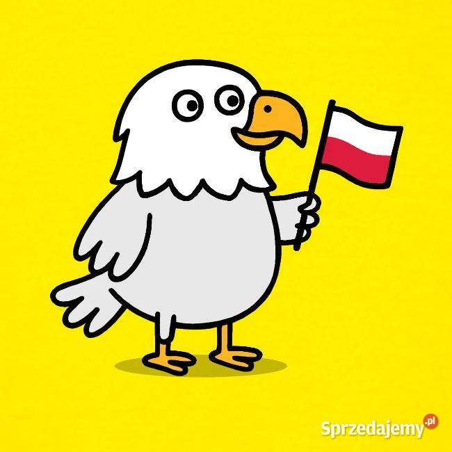 Dziecięca bluza z kapturem patriotyczna flaga
