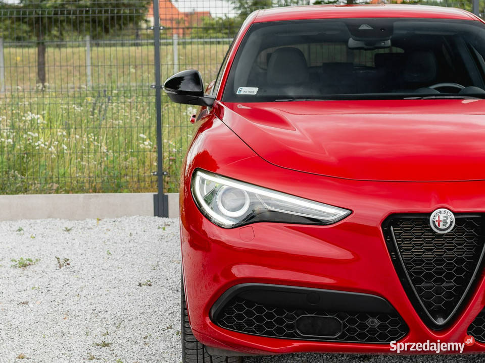 Alfa Romeo Stelvio WD7989S20 Turbo Veloce Q4 Gdańsk