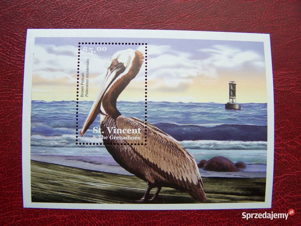 St Vincent 2001 MNH Fauna Ptaki Pelikan śląskie Tychy