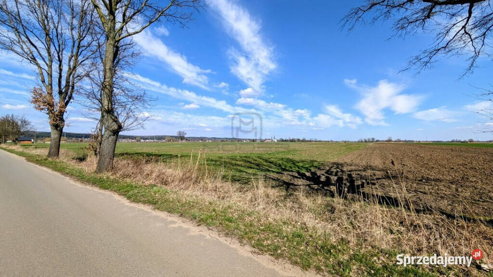 Grunt 449 ha z koncepcją 5 domów Jenin