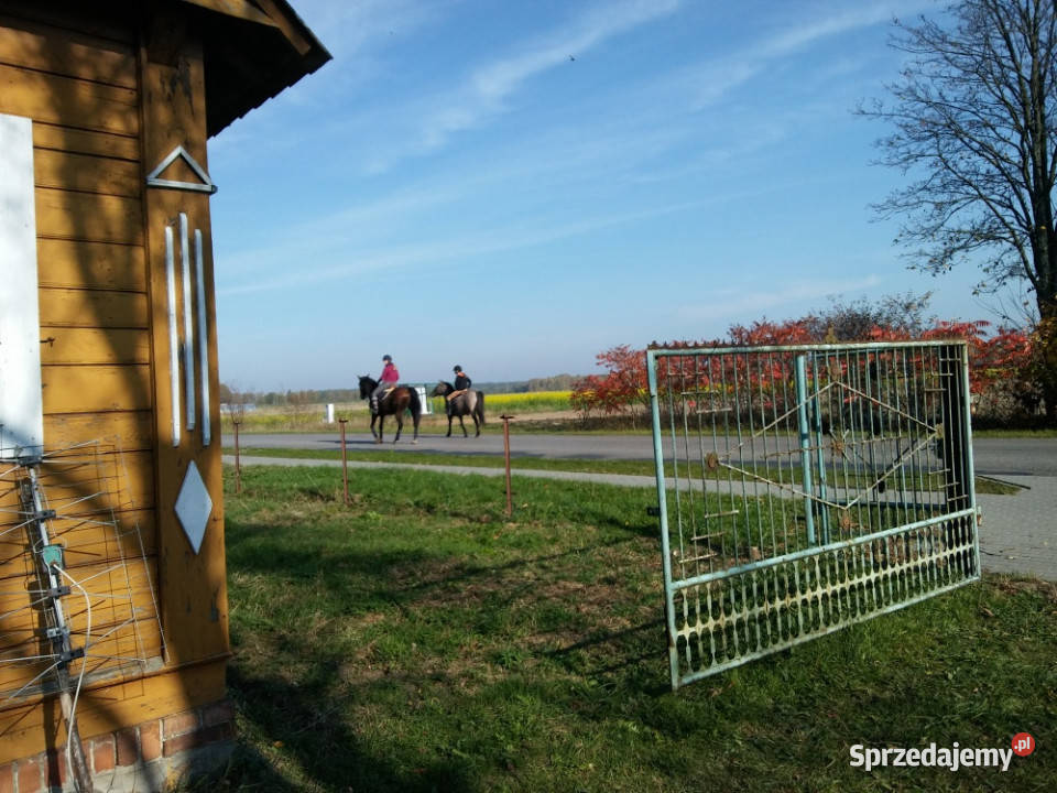 Sprzedam działkę budowlanorolną lubelskie Bereza