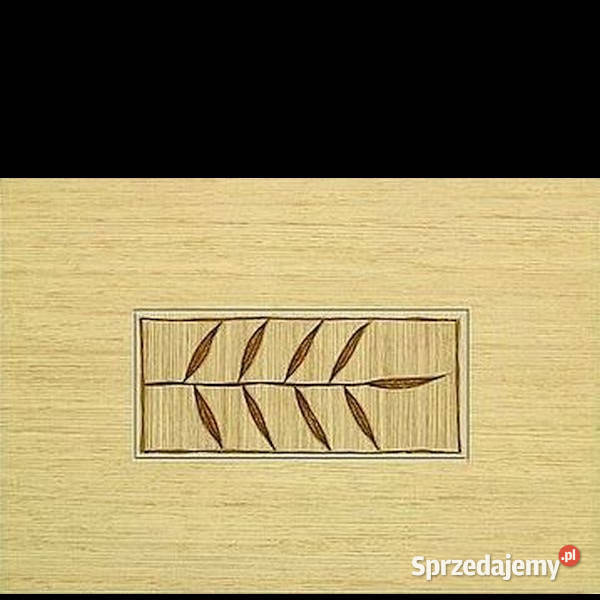 Tubądzin Castanio 2 wymiar 25 x 36 dekor płytki zachodniopomorskie Białogard