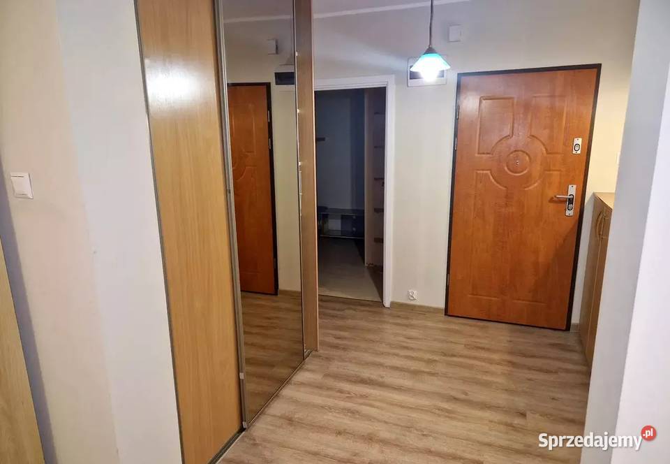 3 pokoje Gdańsk Niedźwiednikzwierzęta mile