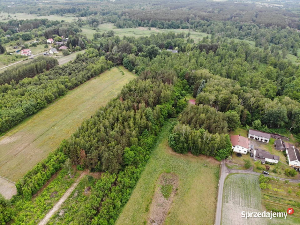 Działki budowlane Nowy Prażmów Sprzedaż