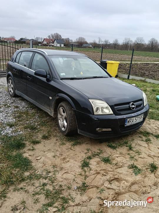 Opel signum manualna Zakrzew