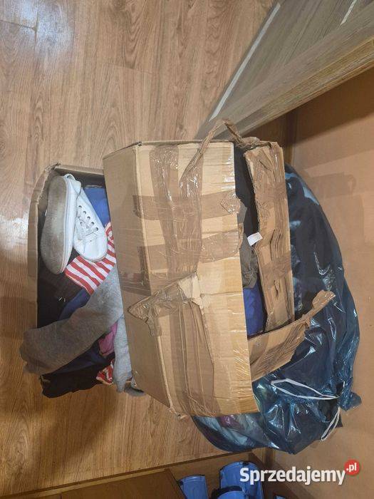 Sprzedam buranoa Strzelce Opolskie