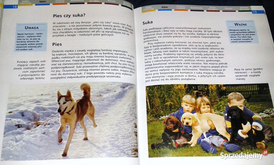 Szczenięta Heidi Rogner Chełm