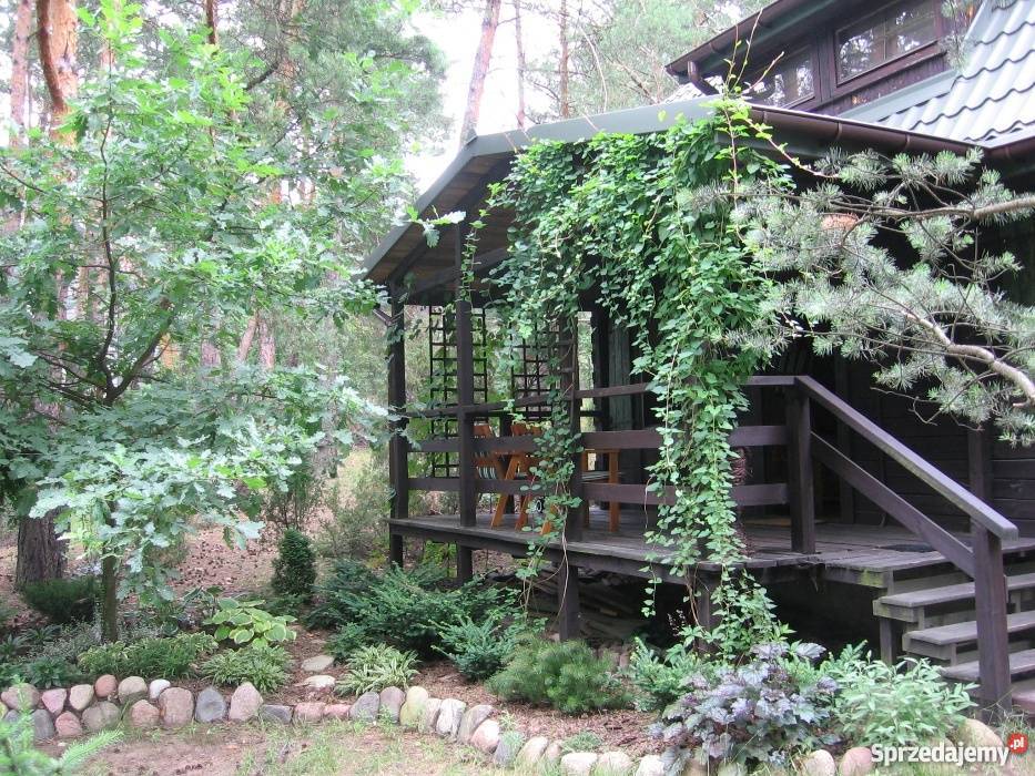 Radzymin Ruda działka 700m2 z domkiem ok 60m2 sprzedam