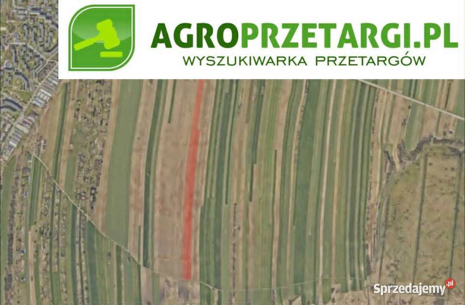 Dzierżawa 634 ha gruntu rolnego Łęczna