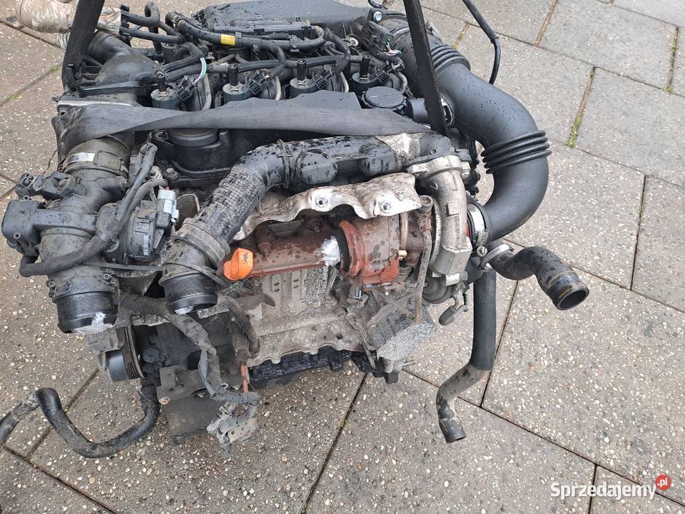 Citroen Peugeot 16 HDi 90 silnik kompletny kod Jastrzębie-Zdrój