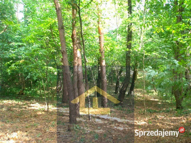 Działka leśna w Otwocku mazowieckie Otwock sprzedam