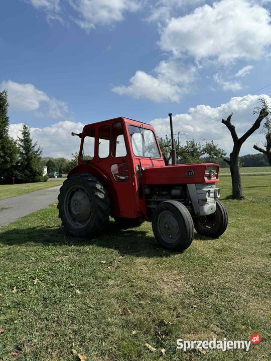 Massey Ferguson 135 Chodecz