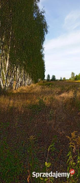 Działka 2400m2 mazowieckie Guzowatka