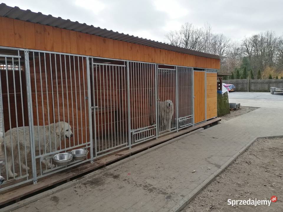kojec buda boks psów Skierniewice