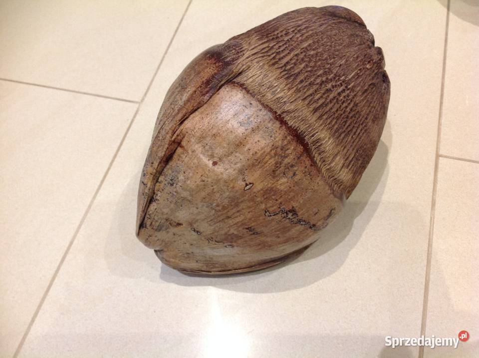 Dekoracja Orzech Kokosowy Brązowy Nowa Sól