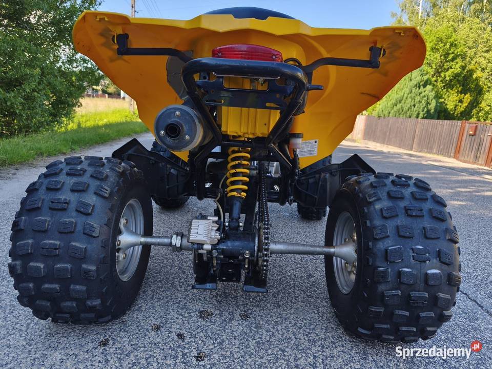 Can AM ds 250 2009r