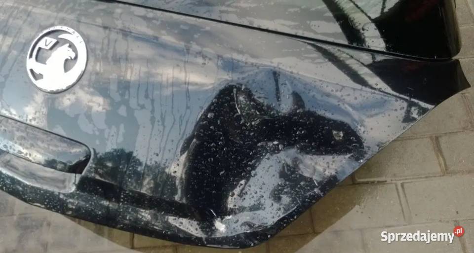 OPEL CORSA D 2012 KOLOR Z22C KLAPA SZYBA TYLNA Bydgoszcz