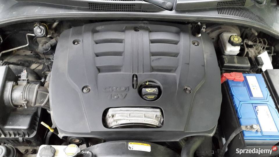 KIA sorento 2008 25 CRDI 179 1 właściciel full Sorento