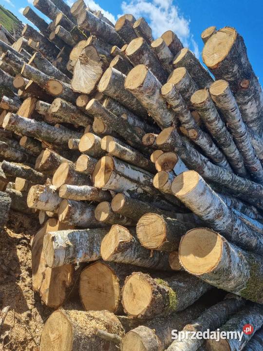Sezonowane drewno kominkowe zachodniopomorskie sprzedam