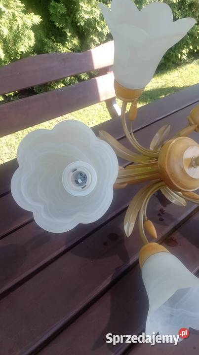Żyrandol pięćio ramienny Lampy wiszące Czarzyzna