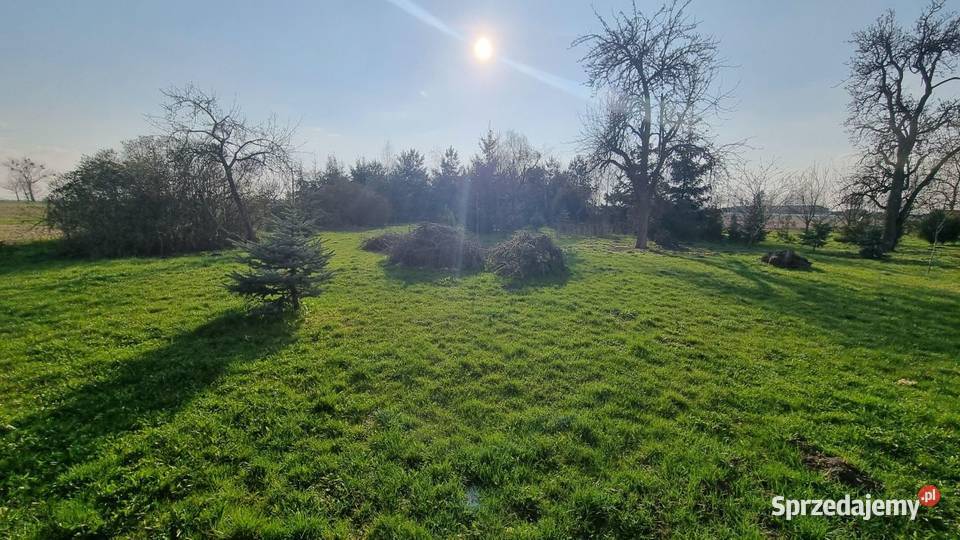 Dom wolnostojący bez pośredników Bierzglin 6347zł/m2 sprzedam
