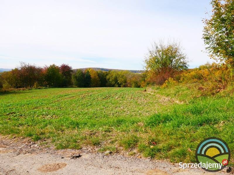 Radwanowice gm Zabierzów widokowa 53arowa