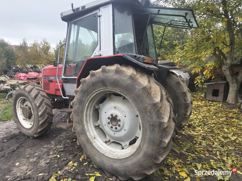 MF Massey Ferguson 3070 Uniejów