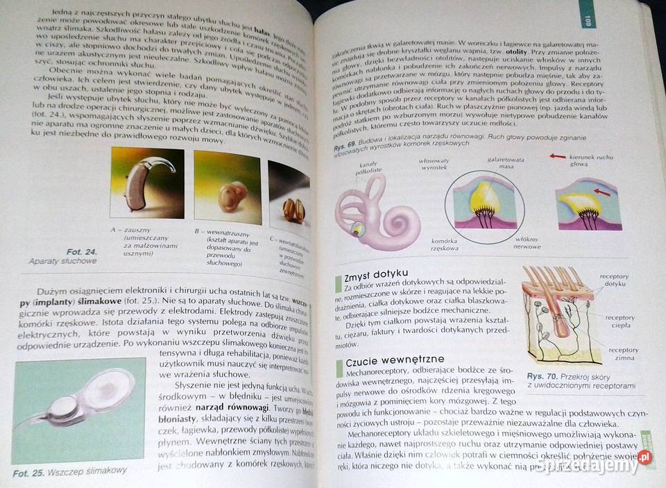 Biologia 2 A Kornaś M Kłyś LŚliwa R Konieczny Rok wydania 2003 Chełm