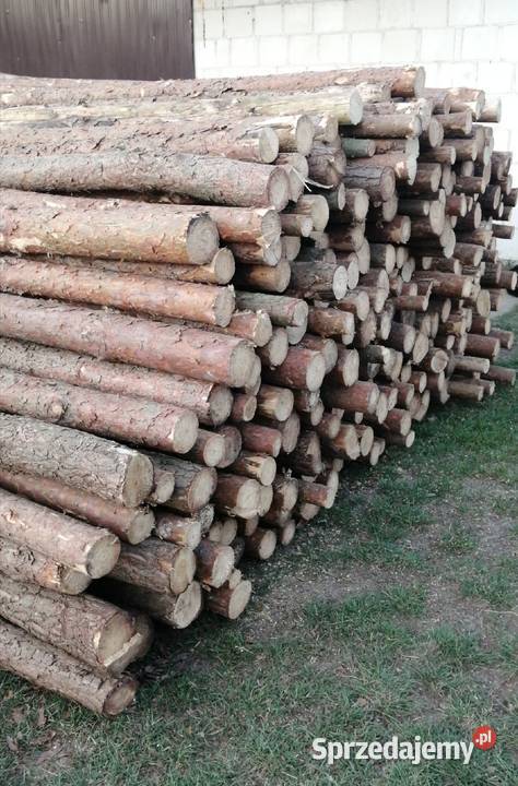 Stemple budowlane wycinane na różny wymiar podkarpackie Majdan Sieniawski sprzedam