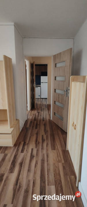Do wynajęcia mieszkanie 2 pokoje z balkonem 49m2 śląskie Katowice