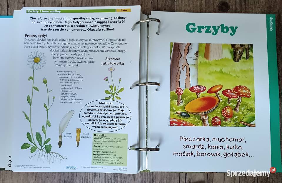 Leśne przygody segregator album DeAgostini Zbylitowska Góra