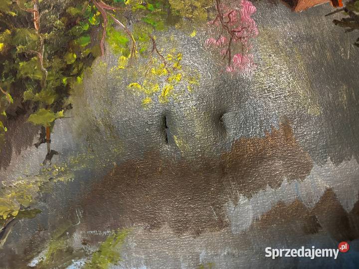 Obraz malowany na płótnie farba olejna duża Szczecin sprzedam