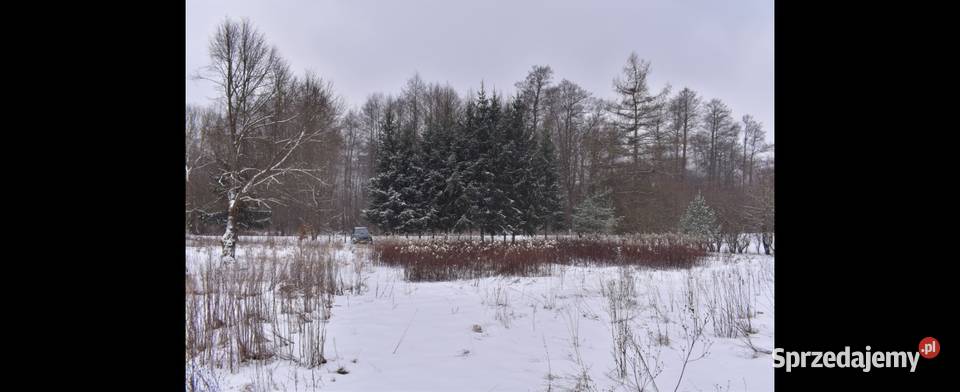 Dzialka 289ha Opole Lubelskie