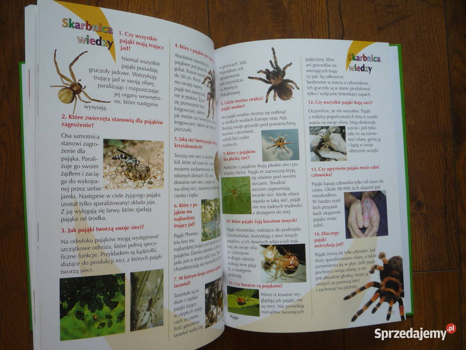 NOWA Książka Królestwo zwierząt Skarbnica wiedzy Szczecin