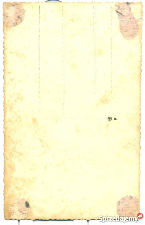 Stare zdjęcie fotografia pocztówka Kalisch lata Militaria śląskie Bielsko-Biała