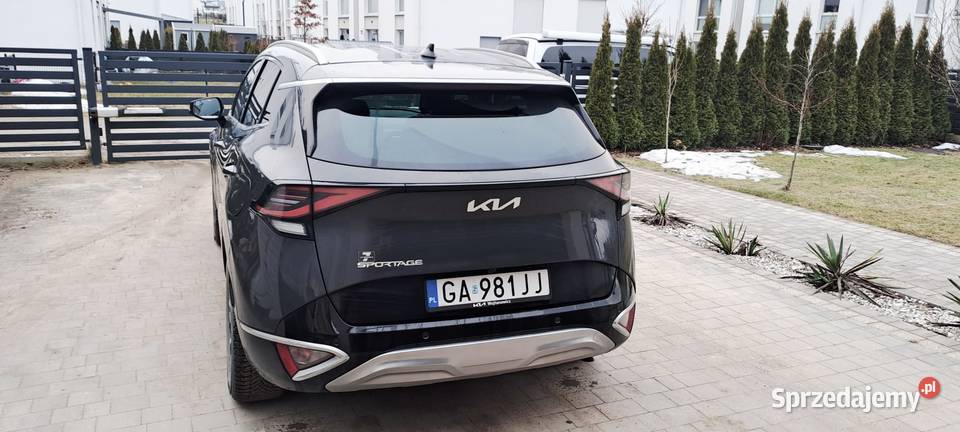 Kia Sportage 16 TGDI Business Line 2WD Gdynia