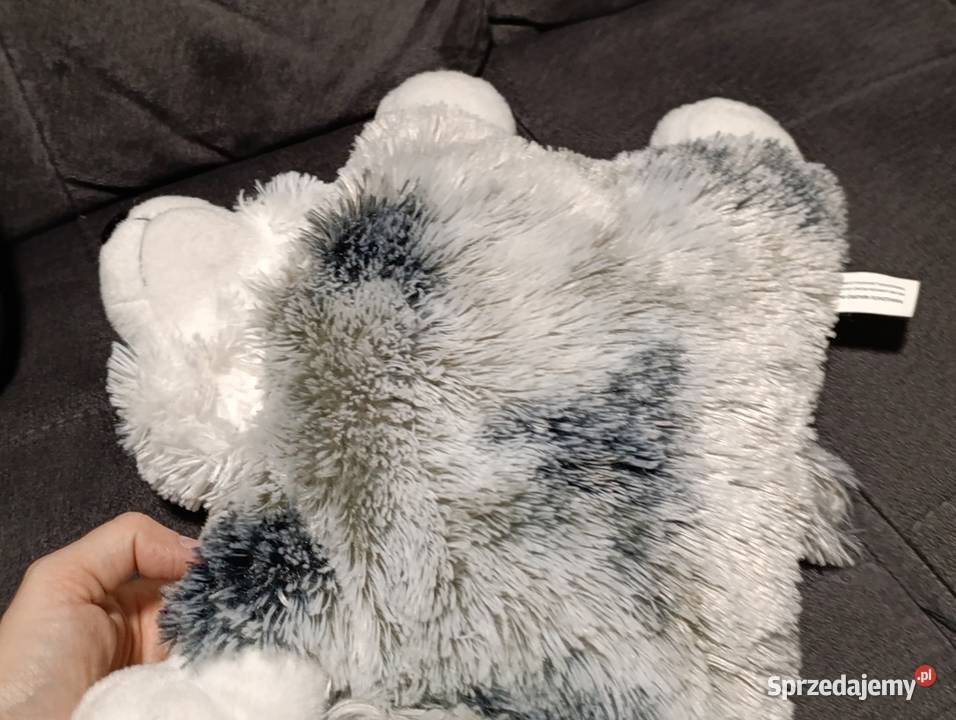 pluszowa poduszka w kształcie psa husky marki Poznań sprzedam