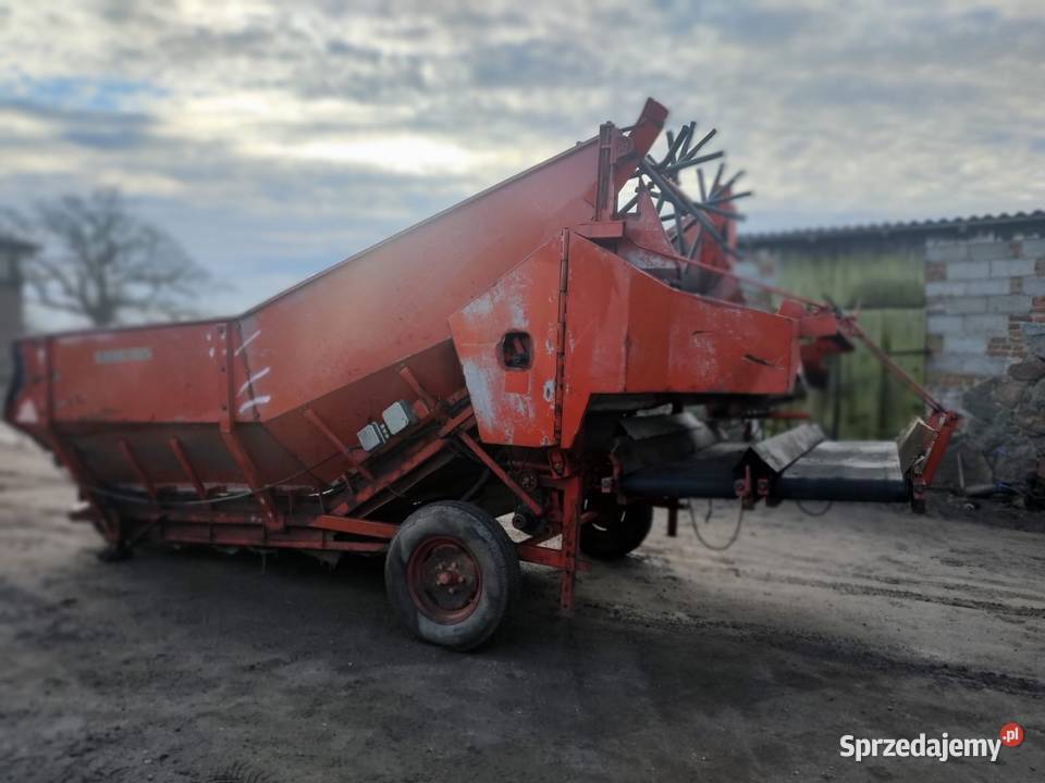 Kosz przyjęciowych do ziemniaków sortownik AMAC pomorskie Swarzewo