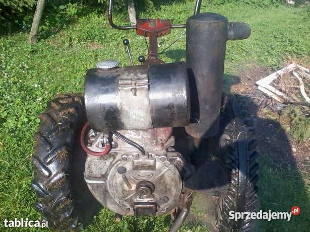 DZIK PRODUKCJI POLSKIEJ dolnośląskie