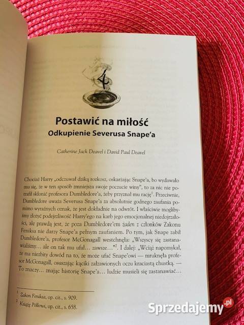 Harry Potter i filozofia Książki naukowe i popularnonaukowe mazowieckie Warszawa