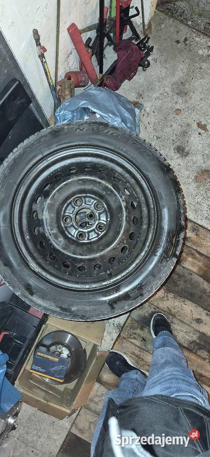 Dębica navigator 3 2055516 całoroczne Myślibórz