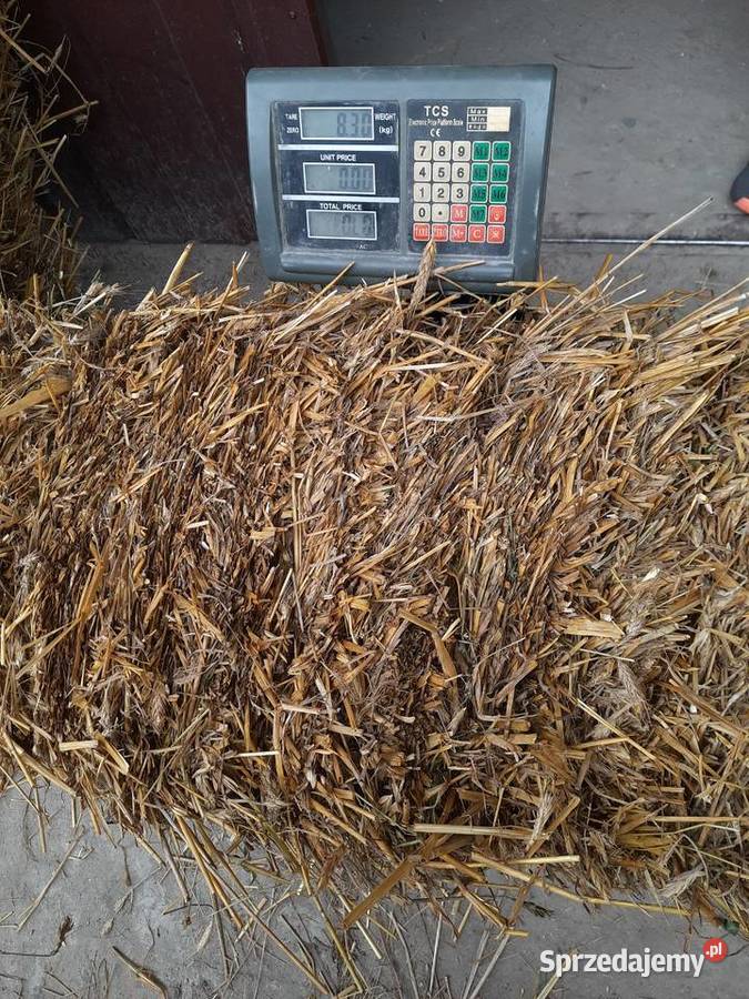 Słoma w kostkach idealna pod truskawki mazowieckie Przytyk