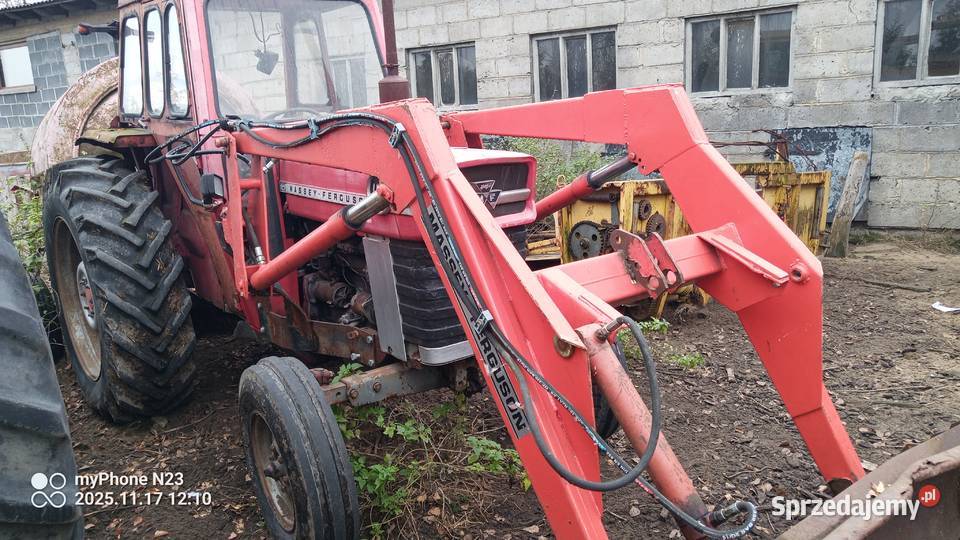 Massey Ferguson 165 wielkopolskie Ostrówek