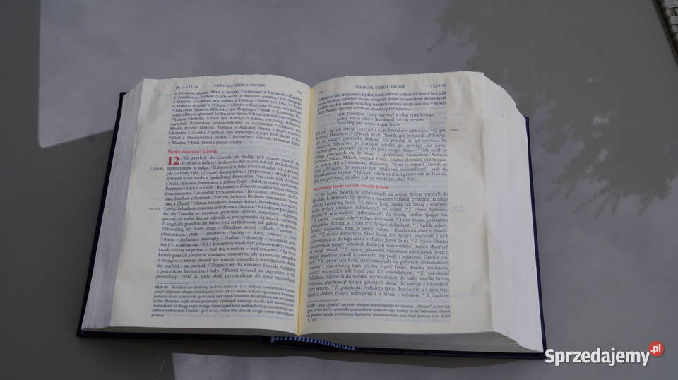 Biblia Jerozolimska 2022 twarda Mrowino
