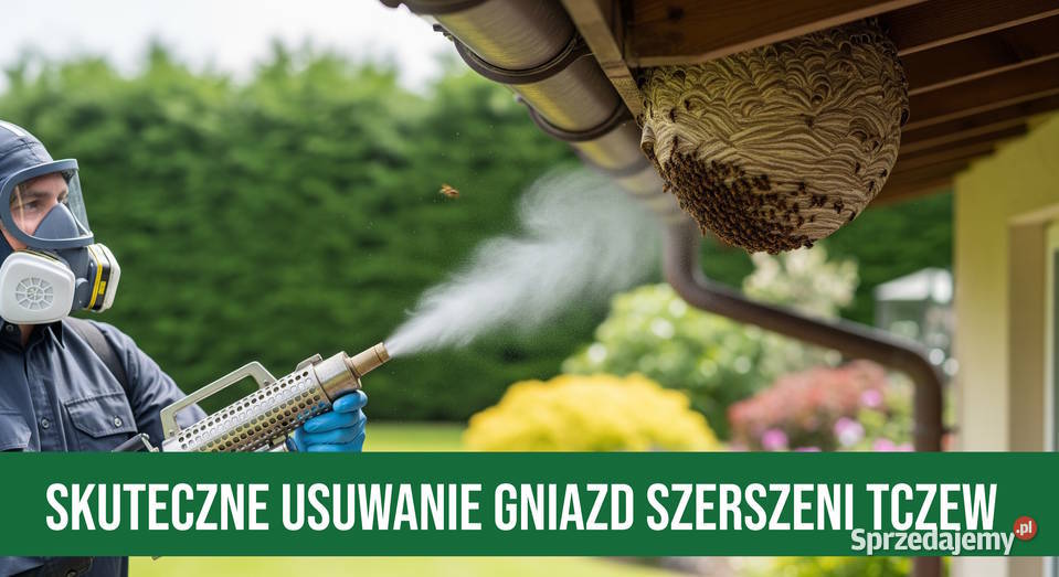 Zwalczanie Szerszeni Tczew Usuwanie Gniazd