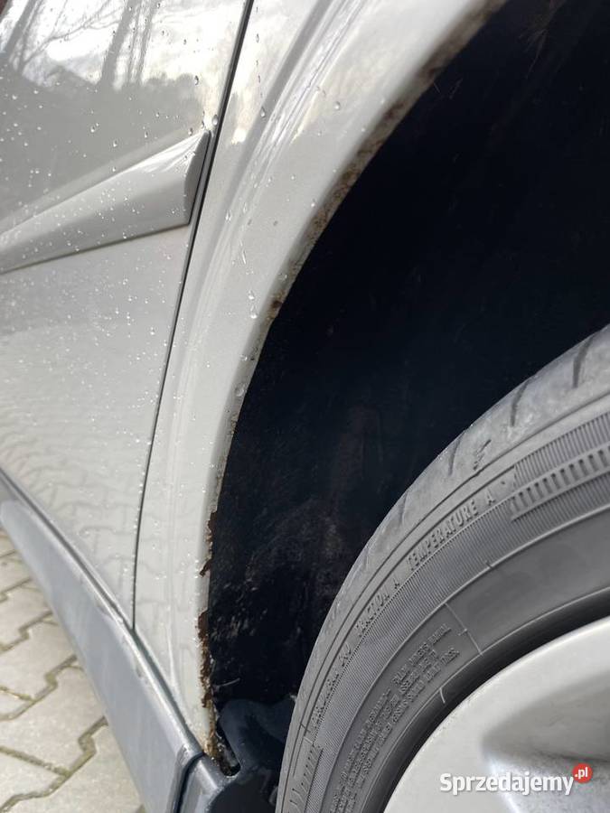 Opel Signum 20T 175 2003r Motoryzacja Pilzno