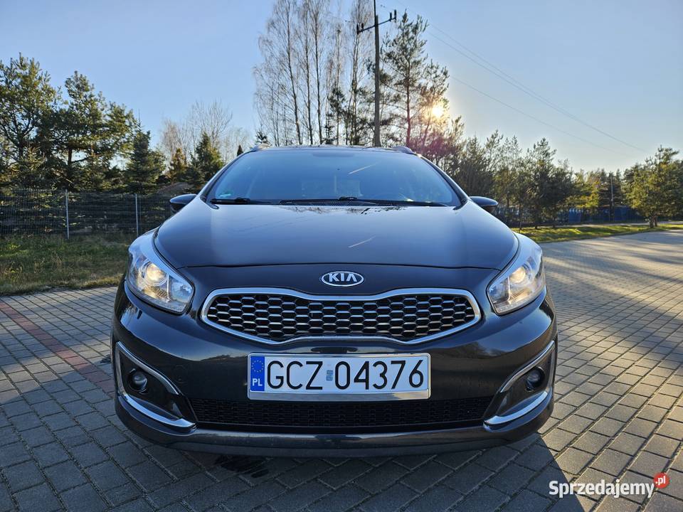 KIA Ceed Człuchów