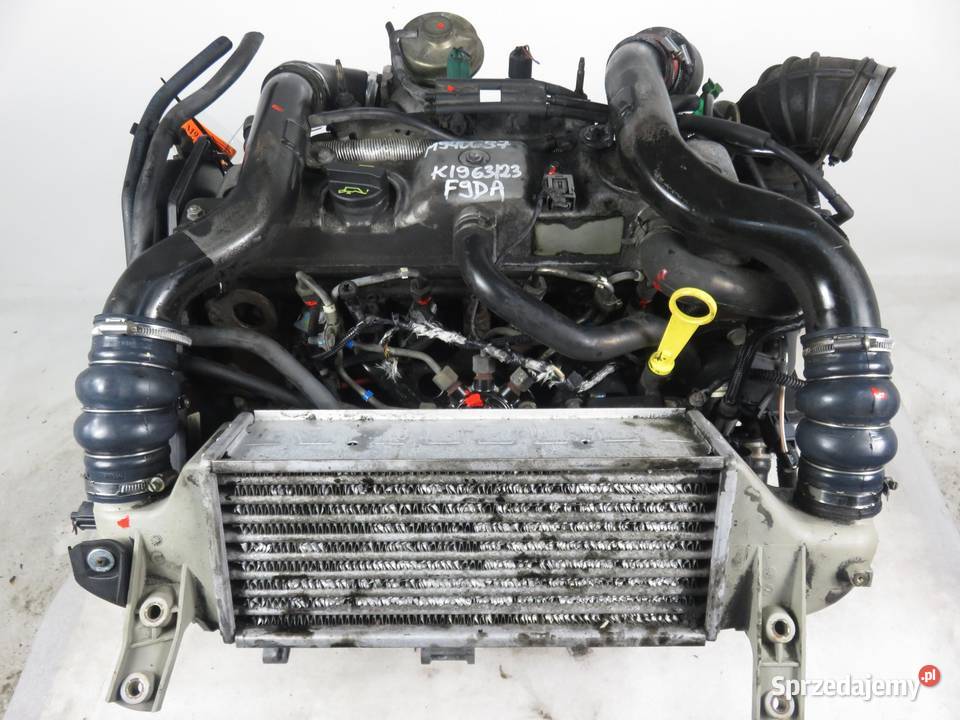 SILNIK FORD FOCUS MK1 18 TDCi F9DA 115 KOMPLETNY Silniki kompletne małopolskie